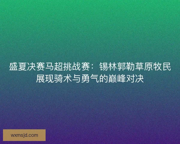 盛夏决赛马超挑战赛：锡林郭勒草原牧民展现骑术与勇气的巅峰对决