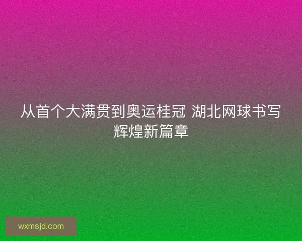 从首个大满贯到奥运桂冠 湖北网球书写辉煌新篇章