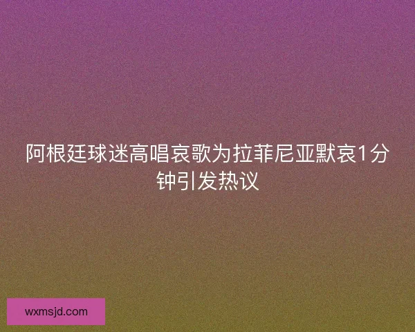 阿根廷球迷高唱哀歌为拉菲尼亚默哀1分钟引发热议
