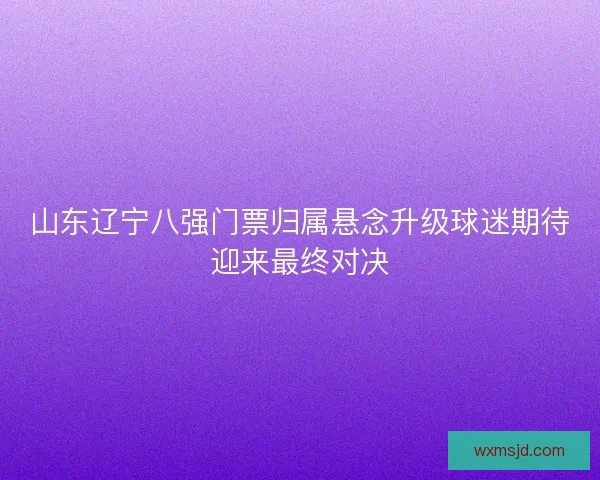 山东辽宁八强门票归属悬念升级球迷期待迎来最终对决